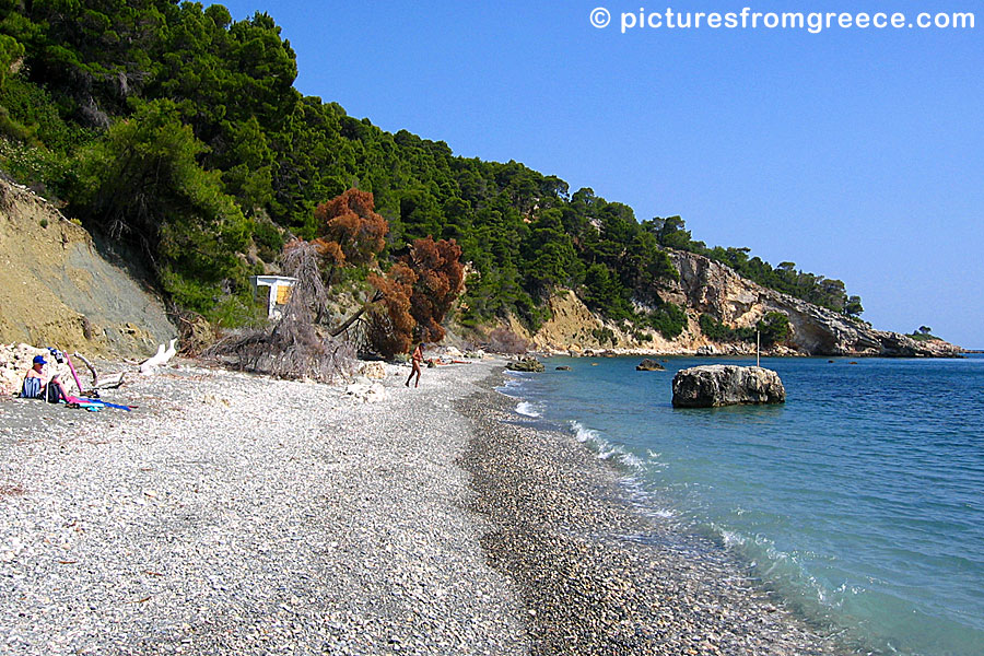 Vythisma is Alonissos unofficial nudist beach. Here there may be monk seals.