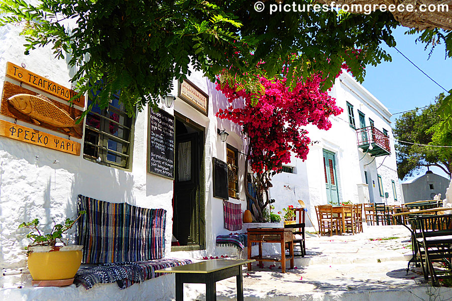  Tavernas in Chora in Amorgos.