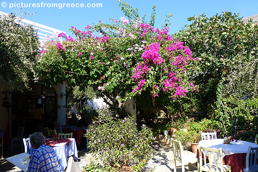 Harrys Restaurant in Emporios in Kalymnos.