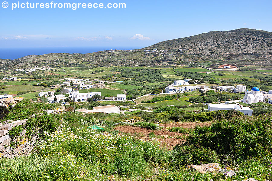 Arkesini in Kato Meria in Amorgos.