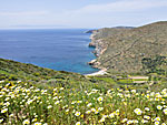 Lefkes beach.