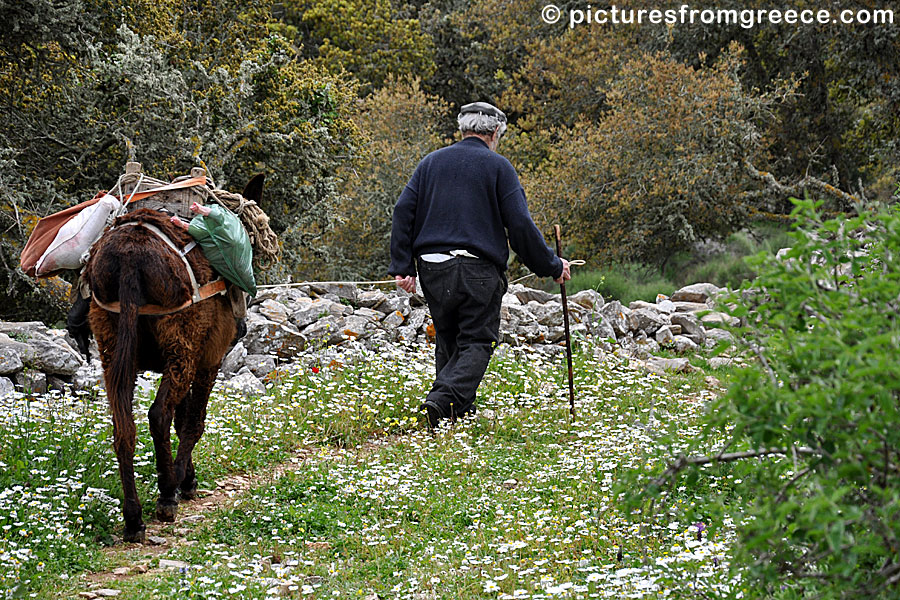 Agios Theologos. Amorgos.