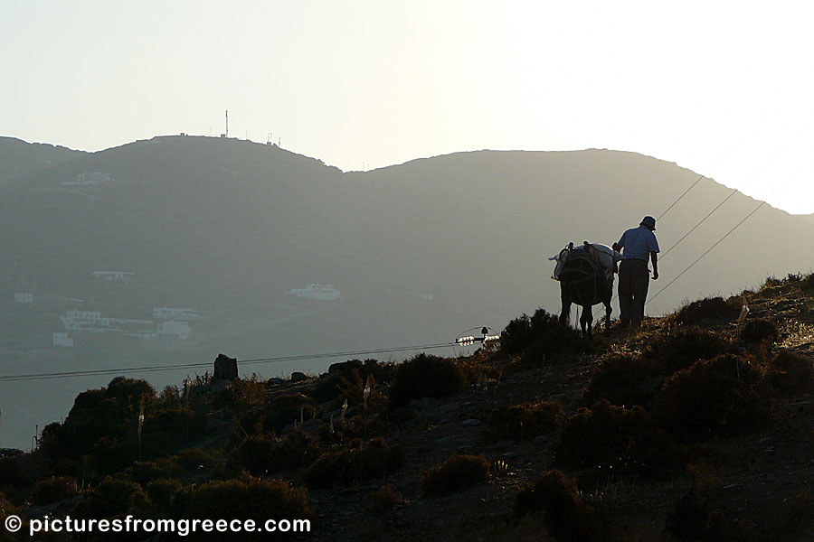 Katapola in Amorgos.