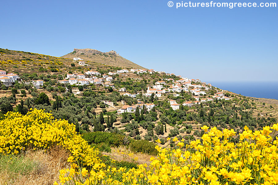 Stenies in Andros.