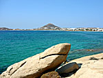 Shark. Naxos,