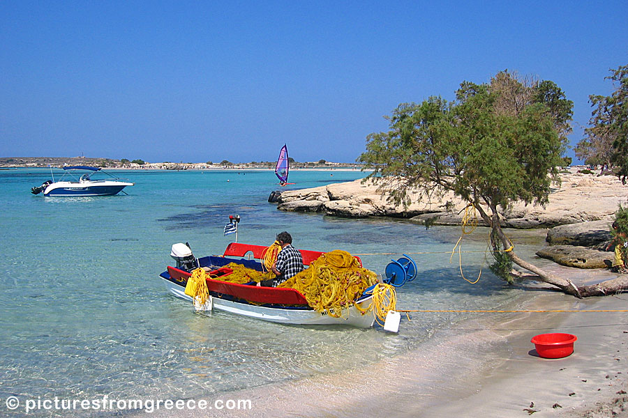 Elafonissi  beach in Crete consists of many sandy beaches, large and small. It is the finest beach in Greece and in Europe.