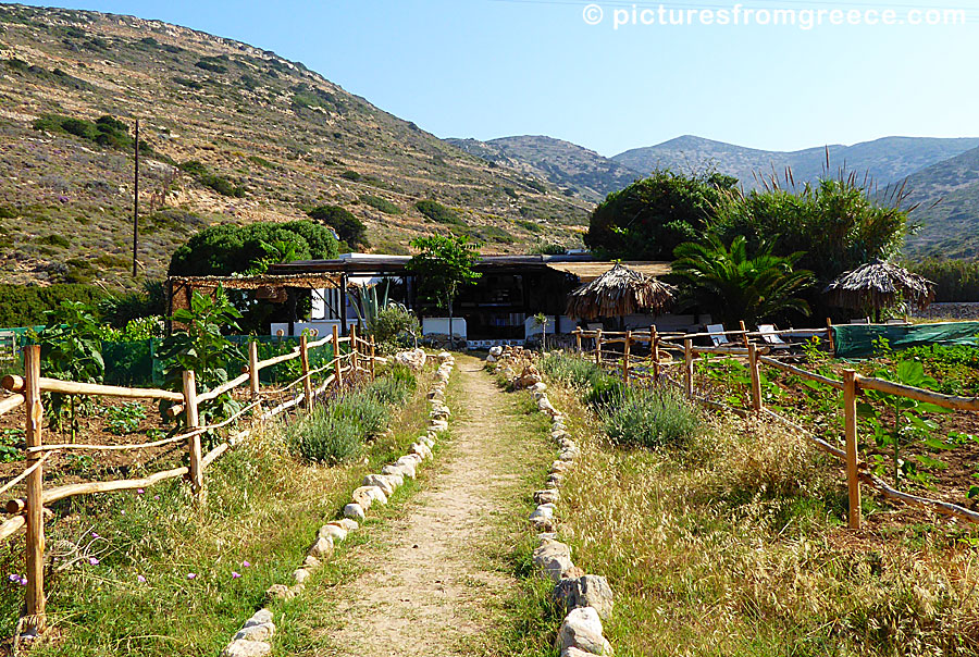 The taverna at Kedros beach in Donoussa.