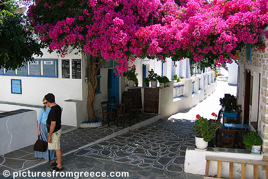 Chora in Folegandros is full of narrow streets with whitewashed houses and hanging bougainvillea.