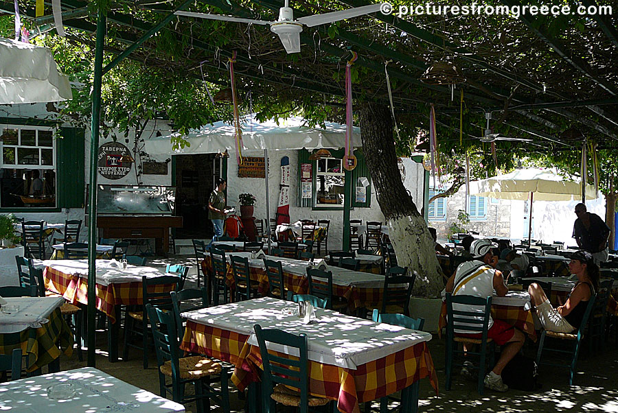 Taverna Douskos in Hydra Town.