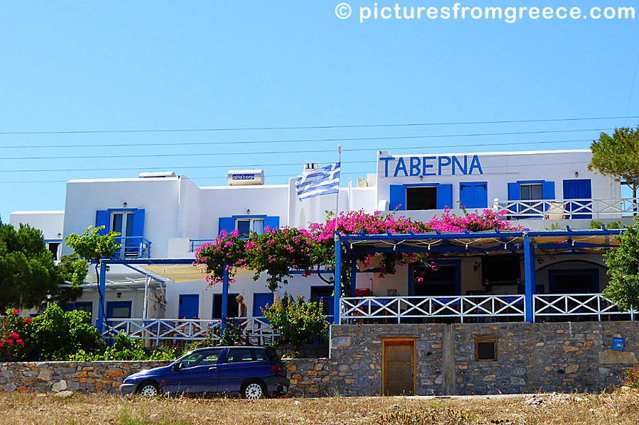 Maistrali Studios and Taverna in Iraklia.