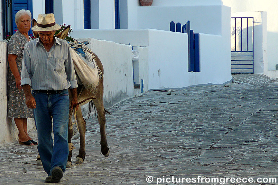 There are still many donkeys left in Chora of Kimolos.