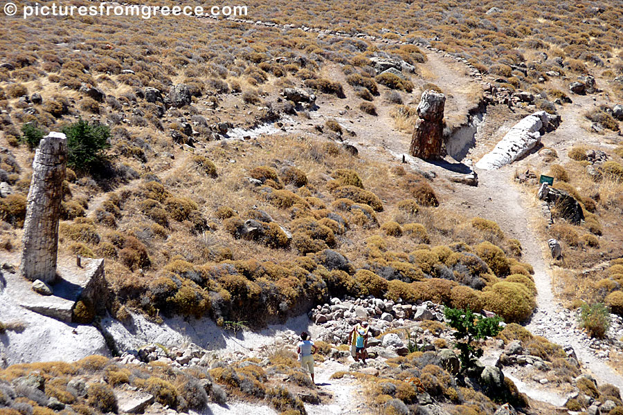 The petrified forest close to Sigri in Lesvos.