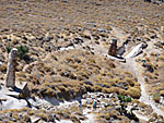 Petrified forest.