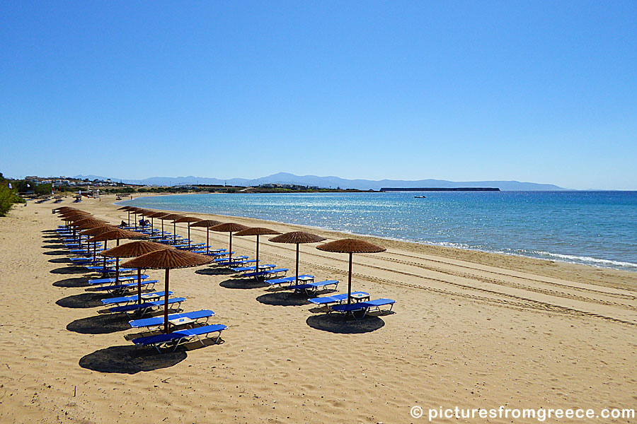 Golden beach in Paros.