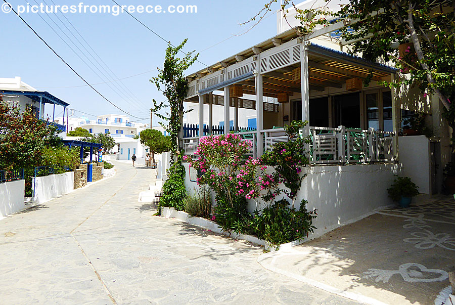 Kira Pothiti is one of the oldest taverns in Schinoussa.