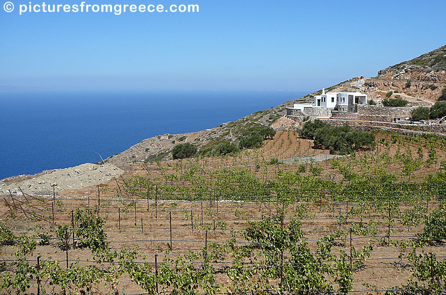 Manalis Winery in Sikinos.