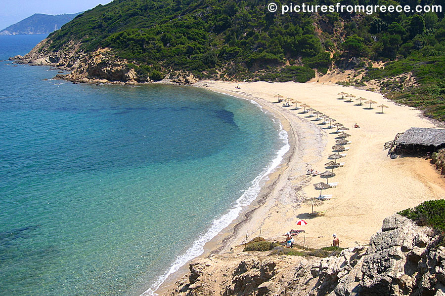 Agistros beach in Skiathos.