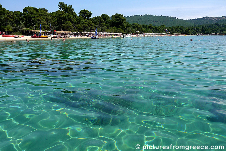 Koukounaries beach in Skiathos.