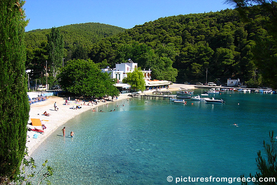 Agnotas beach in Skopelos.