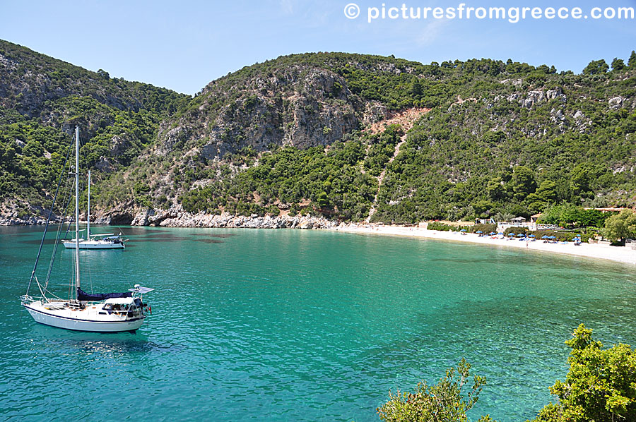 Limnonari beach in Skopelos.