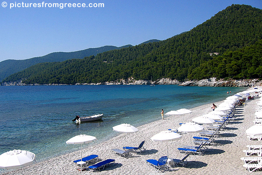 Mila is one of the most popular beaches in Skopelos.