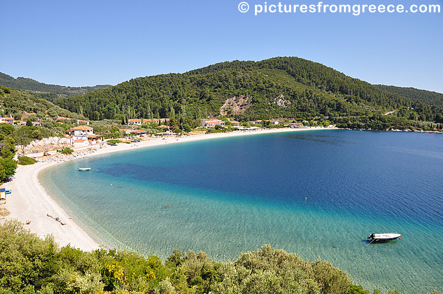 Panormos beach in Skopelos.