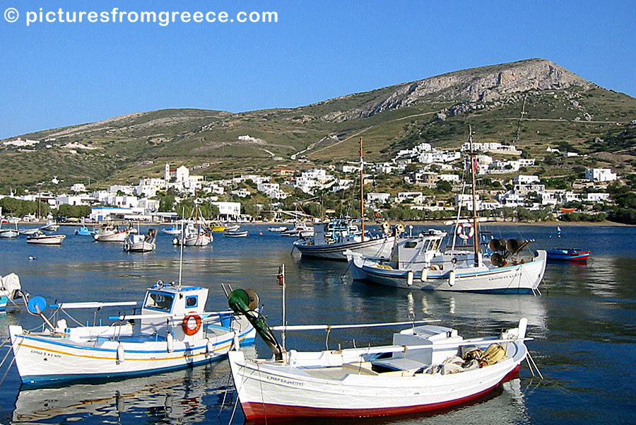 Kini in Syros.