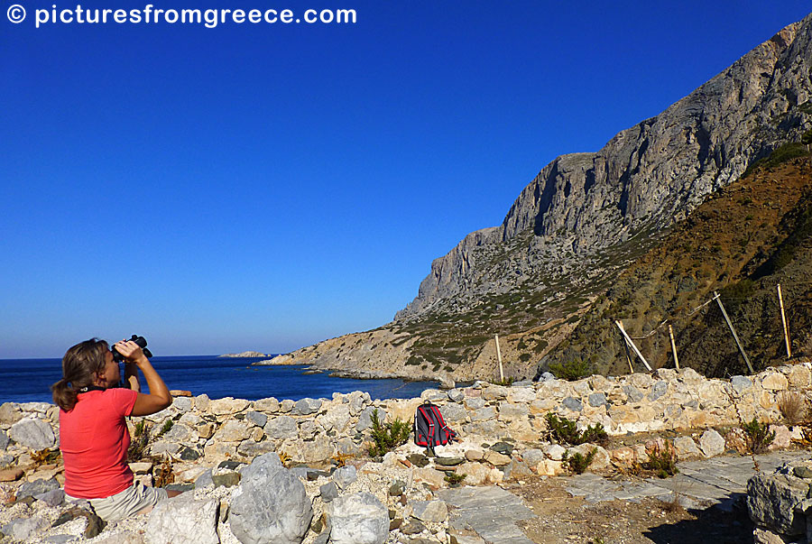 Birdwatching in Telendos. The best place to see Eleonora Falcons is at Hohlakas beach.