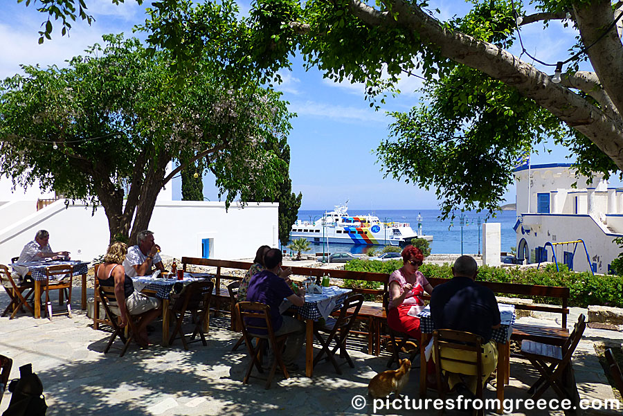 Taverna Omonia in Livadia on Tilos.