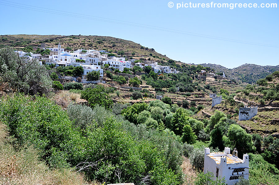 Agapi in Tinos.